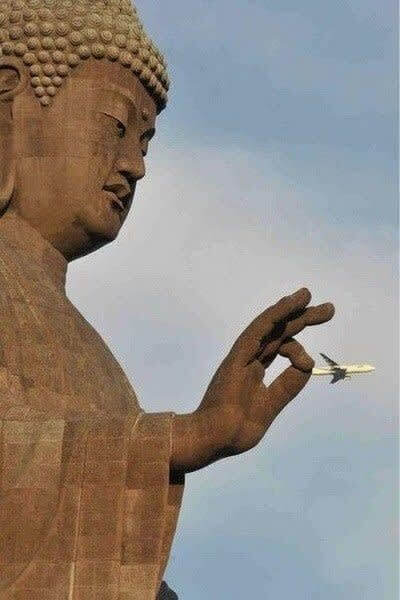 "Please Try Not To Fly Near Me"