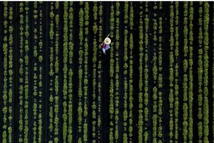 A Glitch in the Matrix