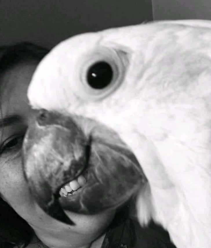 Smile For The Camera