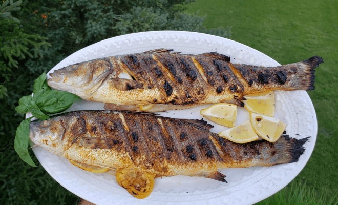 Foods Older Adults Should Never Eat After 5 PM