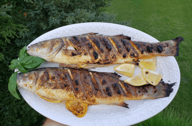 Foods Older Adults Should Never Eat After 5 PM