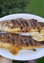 Foods Older Adults Should Never Eat After 5 PM