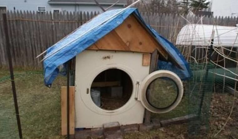 The Laundry Dog House