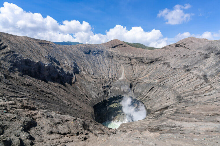 Yellowstone (Huckleberry Ridge), USA