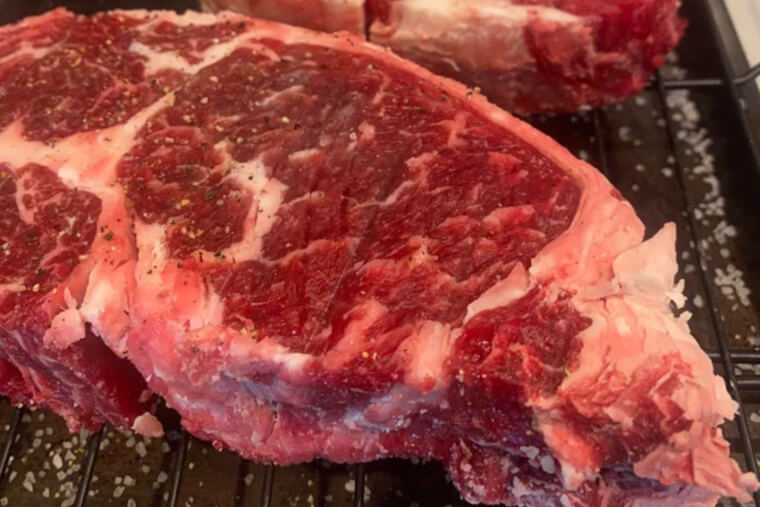 The Original Atkins Diet