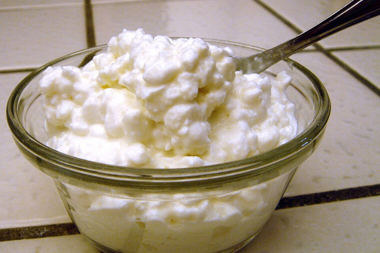 Cottage Cheese Diet