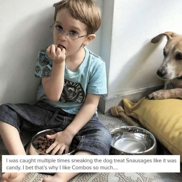 Stealing the Dog Treats