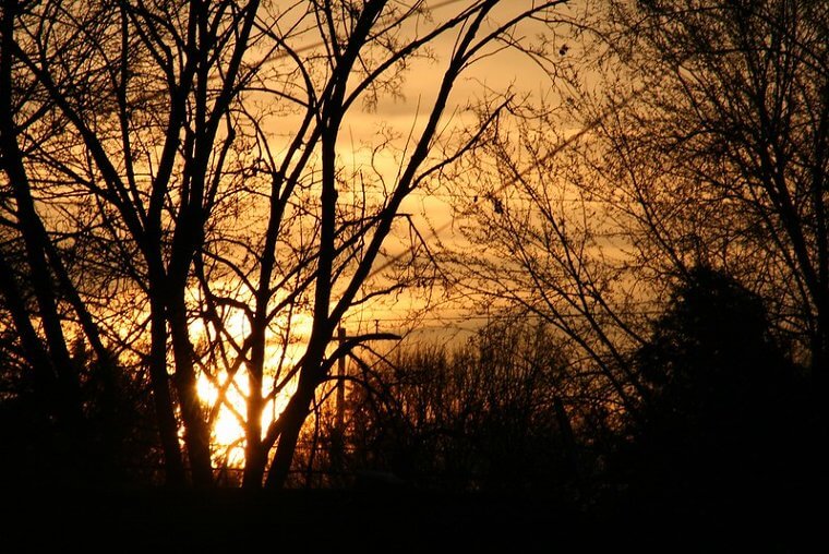 Le lendemain matin
