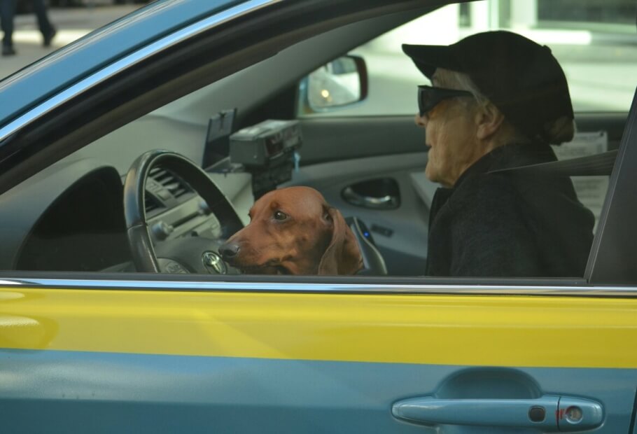 Driving Rules Older Drivers Get Wrong More Than They Realize
