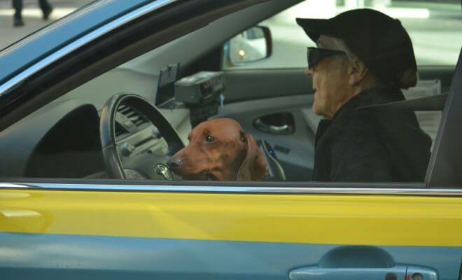 Driving Rules Older Drivers Get Wrong More Than They Realize