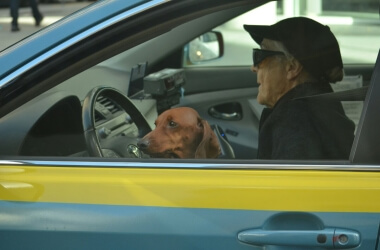 Driving Rules Older Drivers Get Wrong More Than They Realize