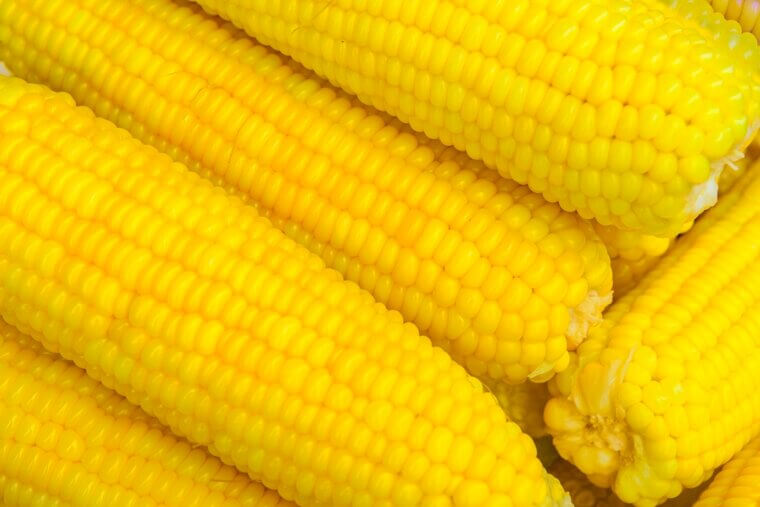 Corn: How A Small Food Has A Big Impact
