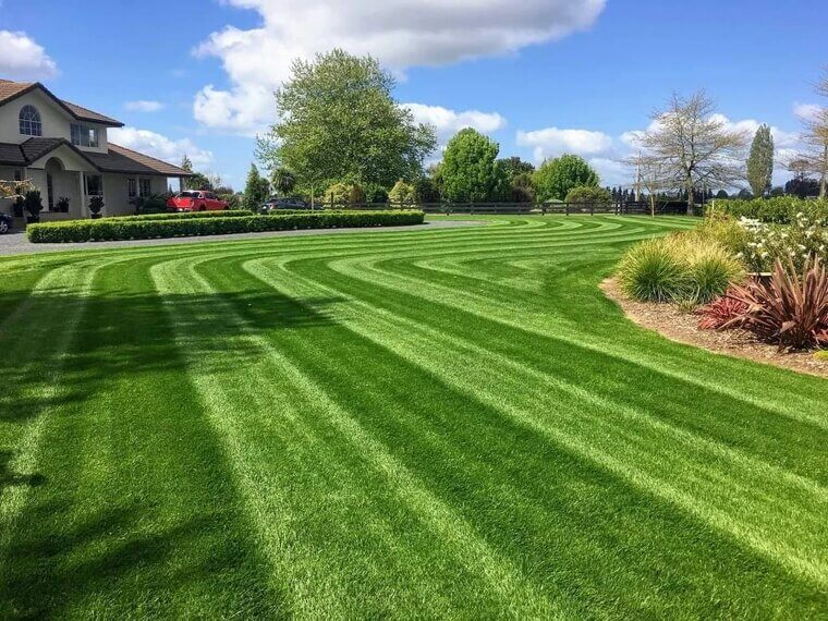 Overwatering Your Lawn