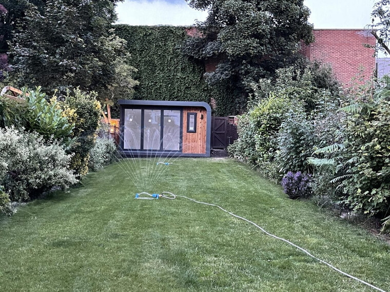 Dense Hedges That Demand Frequent Trimming