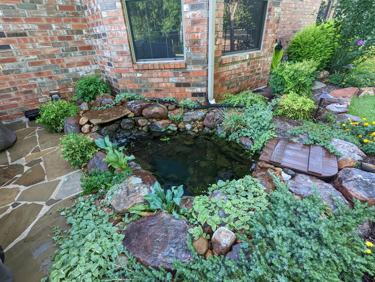 Decorative Ponds That Demand Constant Care