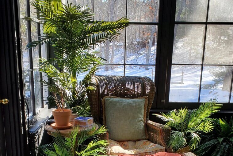 Excessive Faux Plants