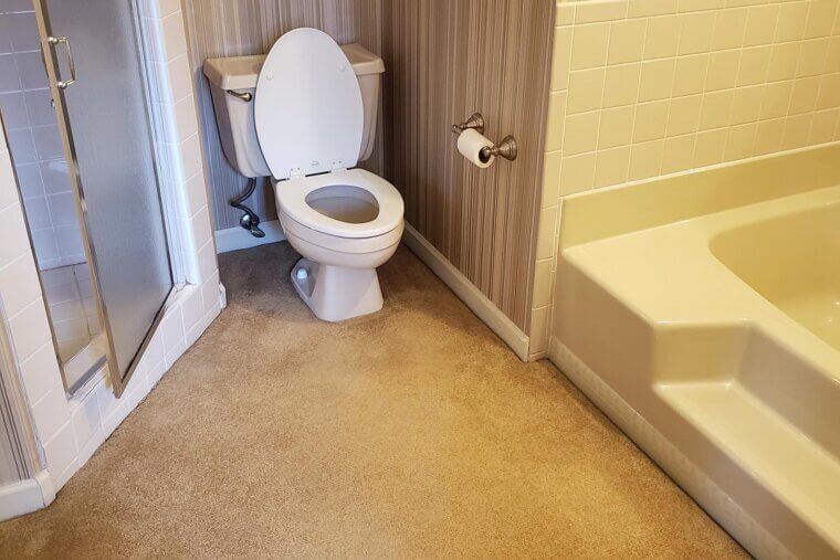 Carpeted Bathrooms