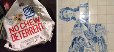 40+ People Who Had One Job And Still Epically Failed