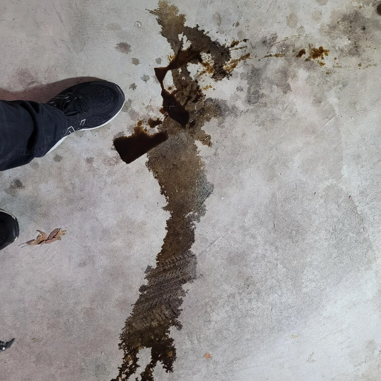 Tenha um derramamento de óleo sob controle com areia para gatos