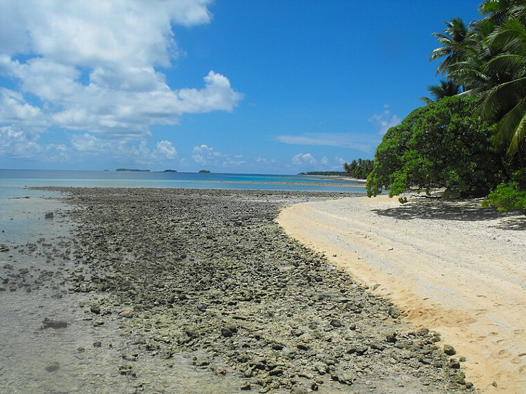 Finding Human Remains
