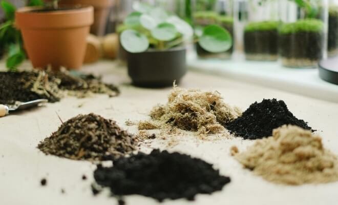 Supporting Soil Health as a Climate Solution