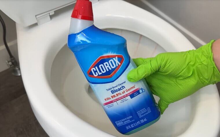 Bleach and Toilet Bowl Cleaner