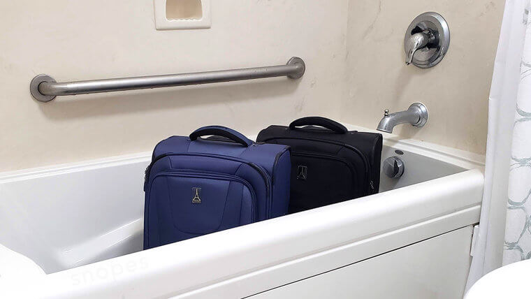 The Best Way To Prevent Bed Bugs