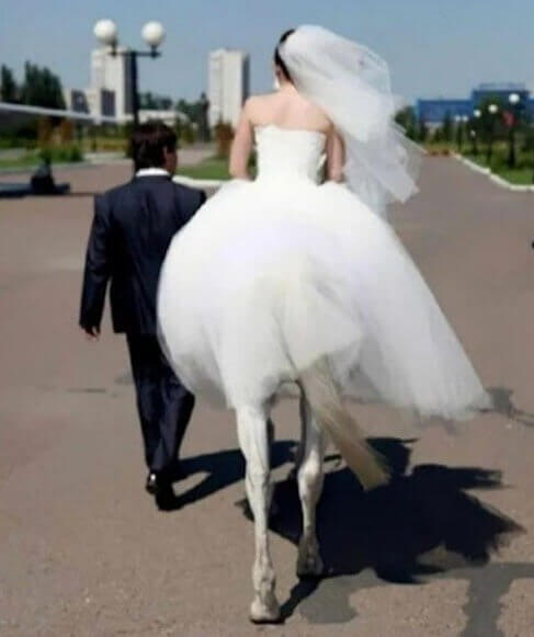 Sie lassen ihre Differenzen nie zwischen ihre Liebe kommen