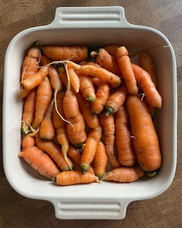Carrots