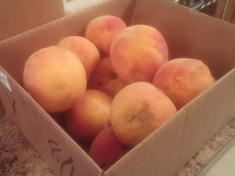 Peaches