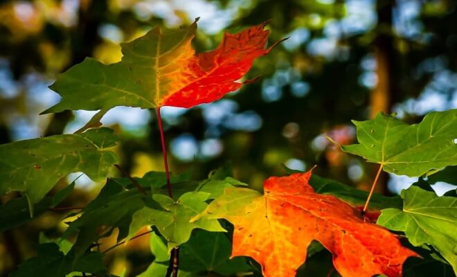 15 Signs That a New Season Has Officially Arrived