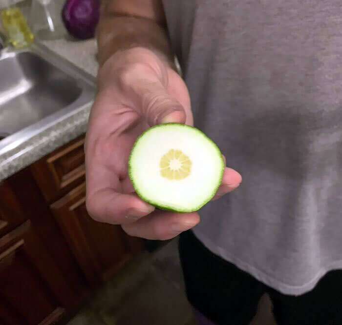 The Least Juicy Lime on Earth