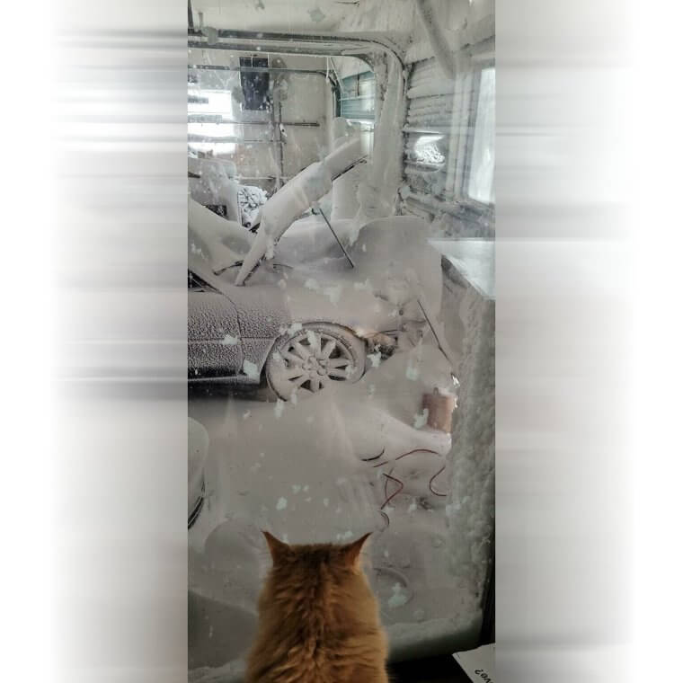 Snowing Inside the Garage