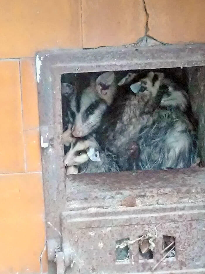 Stove Renovation Plans Will Have to Wait