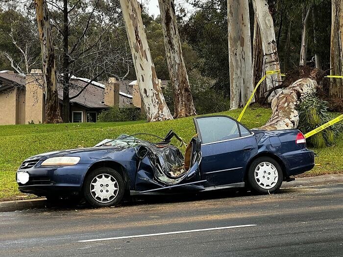 The Worst Place to Park Your Car