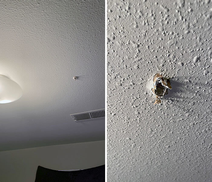 Accidentally Shooting Your Neighbor