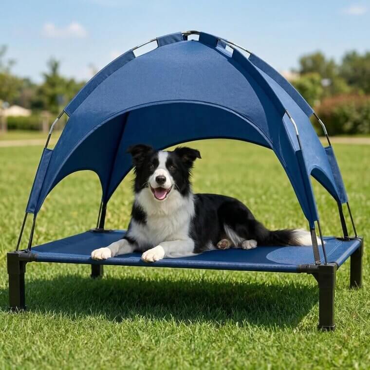 Elevated Dog Bed with Canopy - Perfect for Outdoors 
