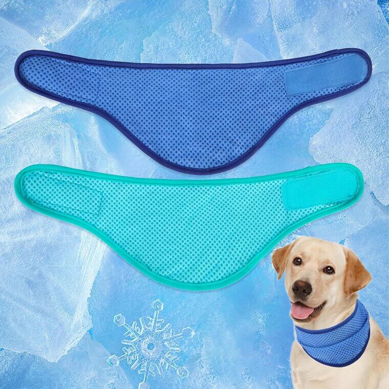 EXPAWLORER Dog Cooling Bandana - Keep Your Pup Chill! 