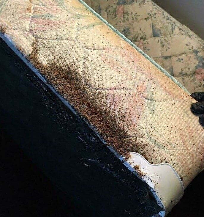 Time for a Trip to the Mattress Store