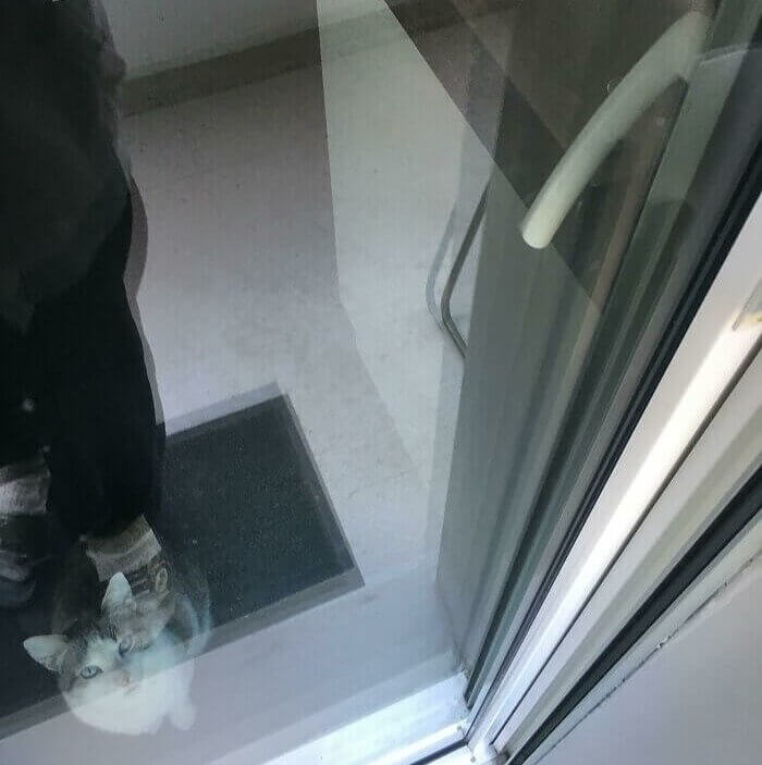 When Your Squatter Locks You Out