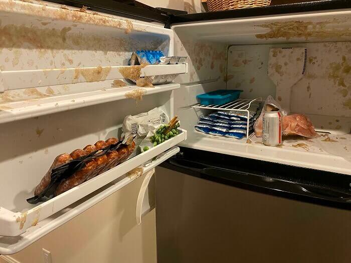 When The Freezer Is Too Good At Its Job