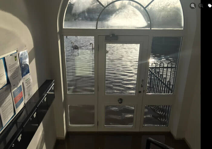 Nice View but It's a Little Too Close for Comfort