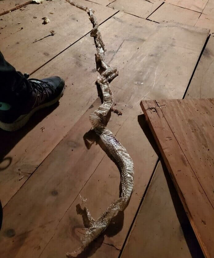 Finding Out You Have A New Roommate