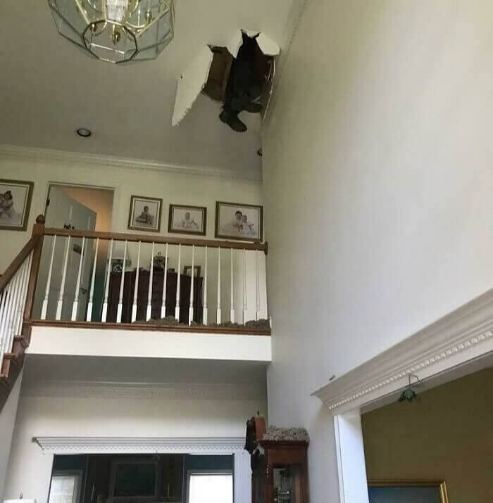 When Guests Come Over