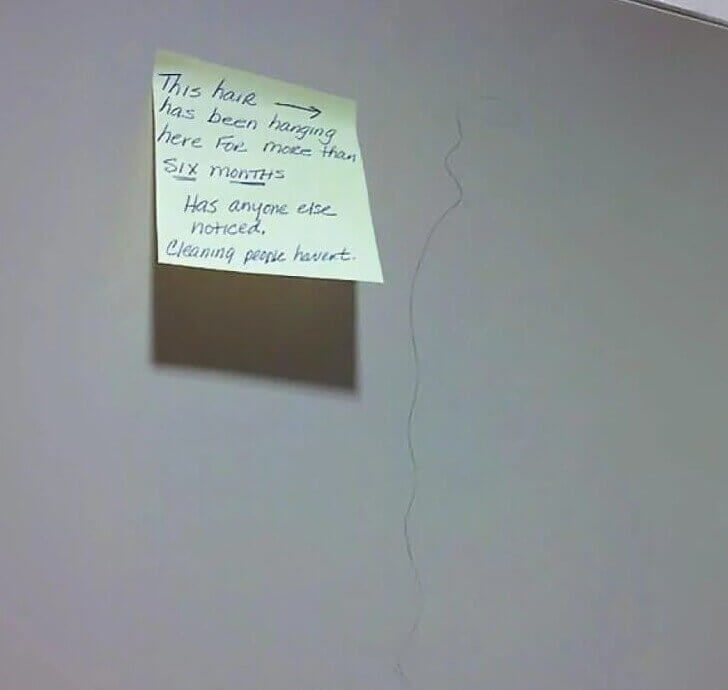 Hair Today, Gone Tomorrow