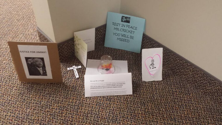 When Housekeeping Doesn't Clean up the Dead Cricket, the Employees Make It a Memorial