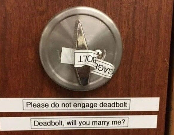 Best Day of Its Life