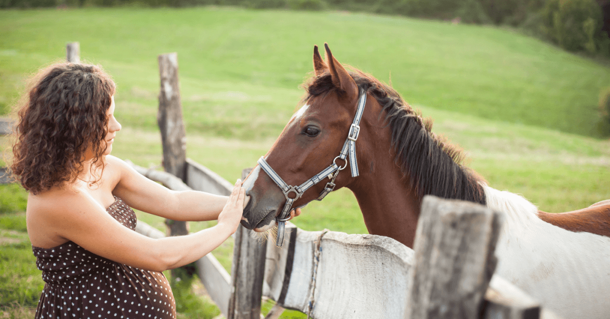 Pregnant Woman Is Confused When Her Horse Starts Behaving Oddly