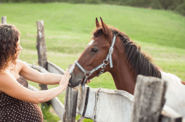 Pregnant Woman Is Confused When Her Horse Starts Behaving Oddly