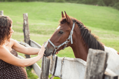 Zwangere vrouw is in de war als haar paard zich vreemd begint te gedragen